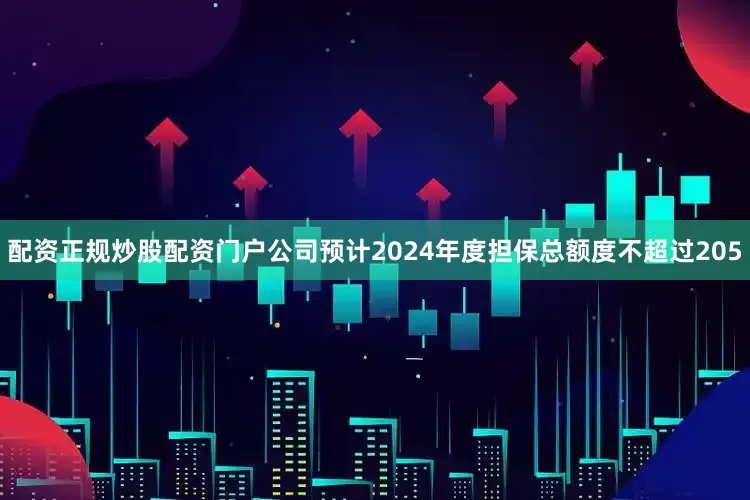 配资正规炒股配资门户公司预计2024年度担保总额度不超过205