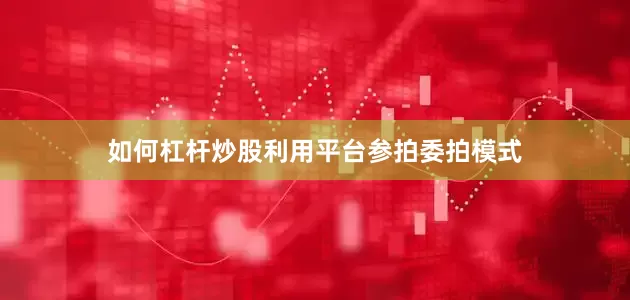 如何杠杆炒股利用平台参拍委拍模式