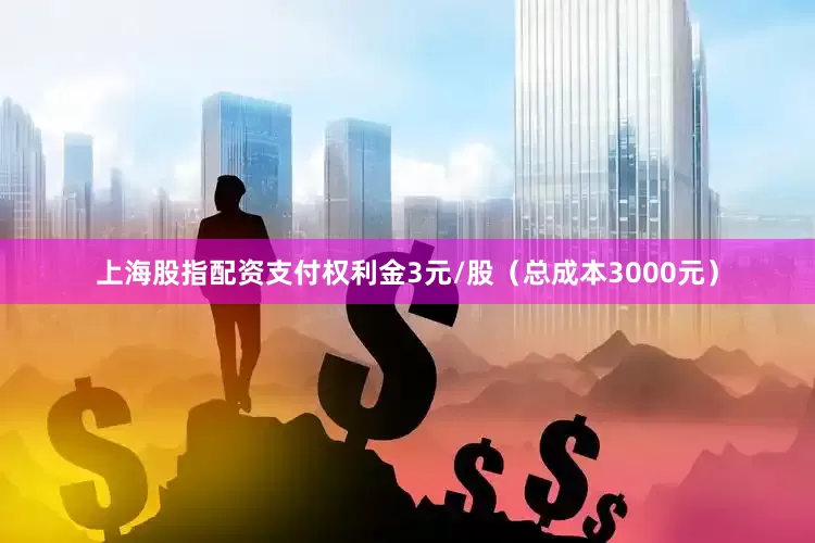 上海股指配资支付权利金3元/股（总成本3000元）