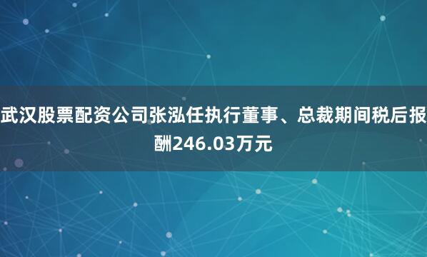 武汉股票配资公司张泓任执行董事、总裁期间税后报酬246.03万元