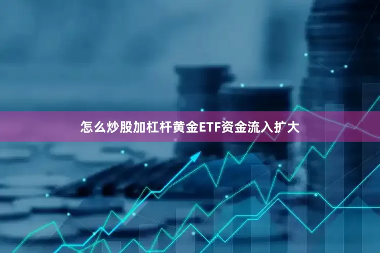 怎么炒股加杠杆黄金ETF资金流入扩大