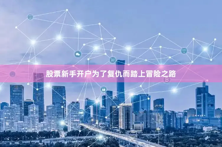 股票新手开户为了复仇而踏上冒险之路